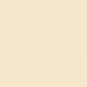 SANDERSON PAINT LIGHT BUCKSKIN  16